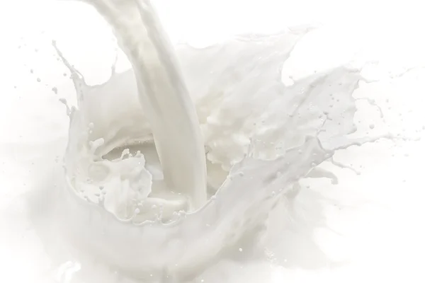 Milk splash — Stock Photo, Image