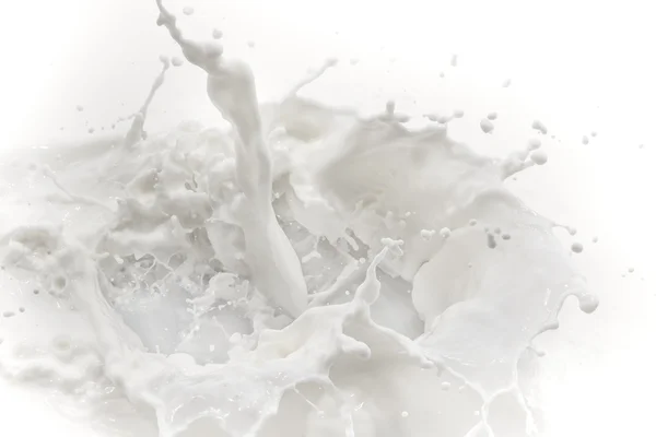 Milk splash — Stock Photo, Image