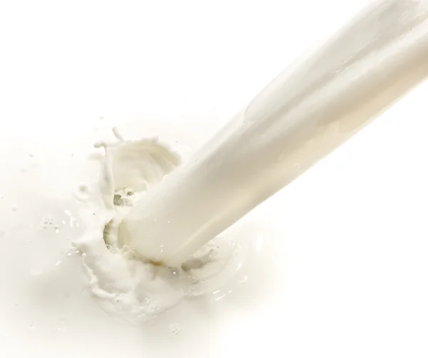 Milk splash — Stock Photo, Image