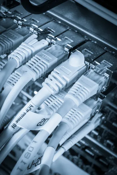 Hub de rețea și cabluri de patch-uri — Fotografie, imagine de stoc