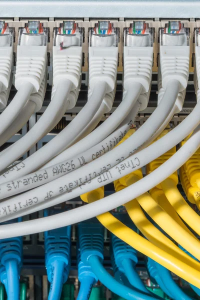 Network cables connected to switch — Stock Photo, Image