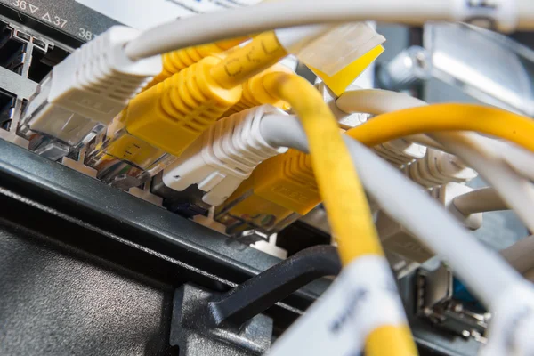 Netzwerk-Hub und Patchkabel — Stockfoto