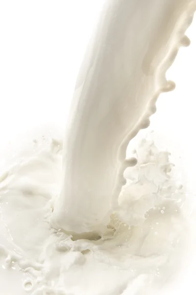 Salpicadura de leche — Foto de Stock