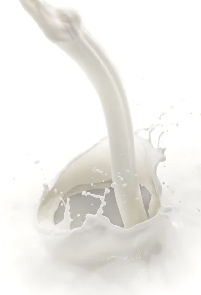 Milk splash — Stock Photo, Image