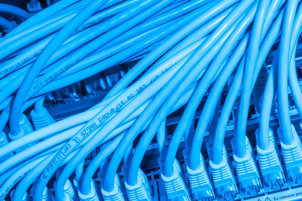 Network cables connected to switch — Stock Photo, Image