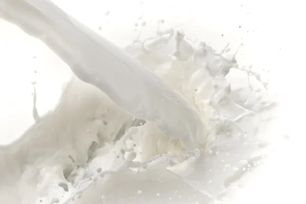 Milk splash — Stock Photo, Image