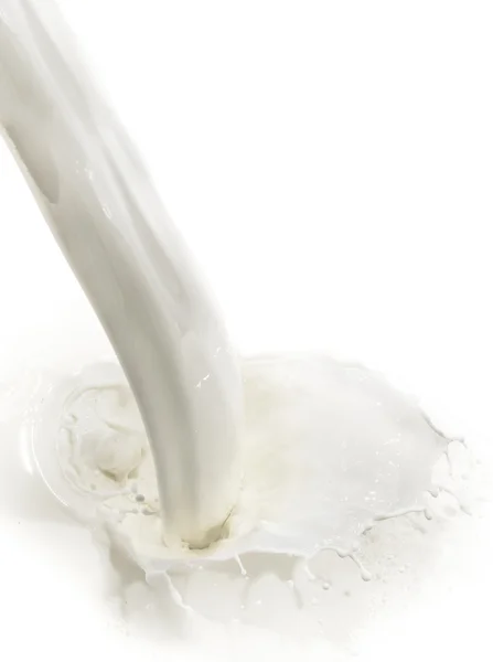 Milk splash — Stock Photo, Image