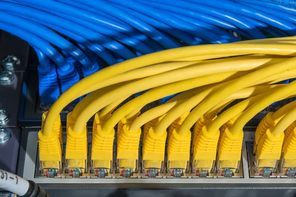 Network cables connected to switch — Stock Photo, Image