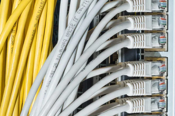 Network cables connected to switch — Stock Photo, Image