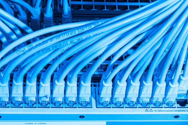 Network cables connected to switch — Stock Photo, Image