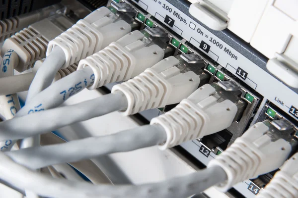 A hálózati hub és patch kábelek — Stock Fotó