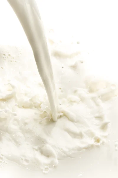 Salpicadura de leche — Foto de Stock