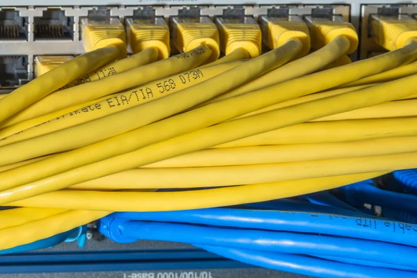 Network cables connected to switch — Stock Photo, Image