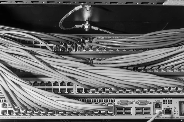 스위치에 연결 된 네트워크 케이블 — 스톡 사진