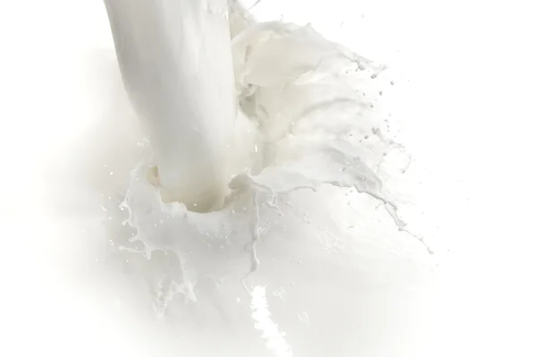 Milk splash — Stock Photo, Image