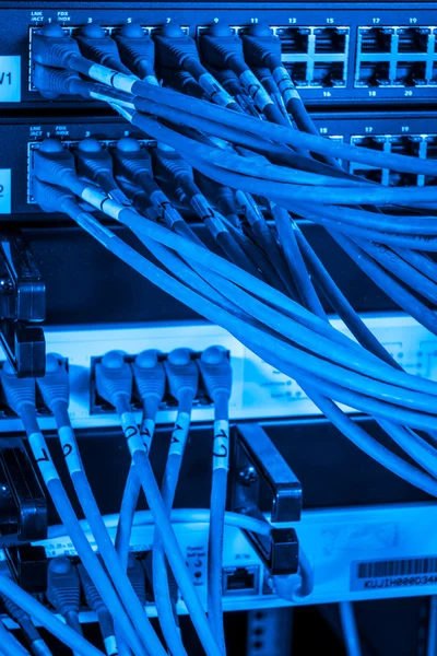 Netzwerk-Hub und Patchkabel — Stockfoto