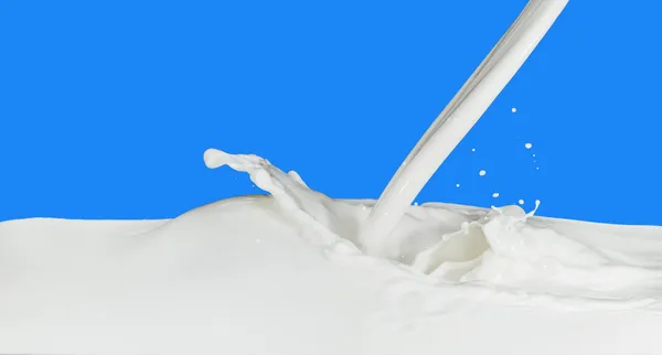 Milk splash — Stock Photo, Image