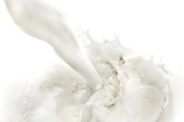 Milk splash — Stock Photo, Image