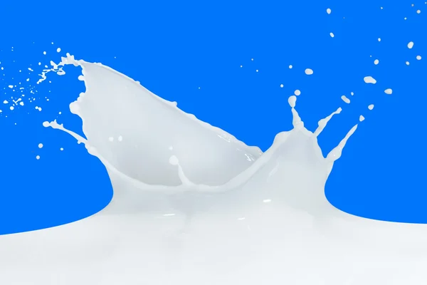 Salpicadura de leche — Foto de Stock