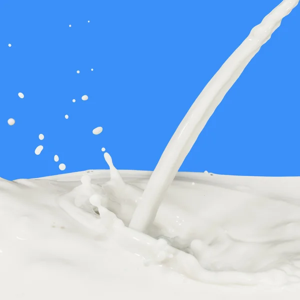 Salpicadura de leche — Foto de Stock