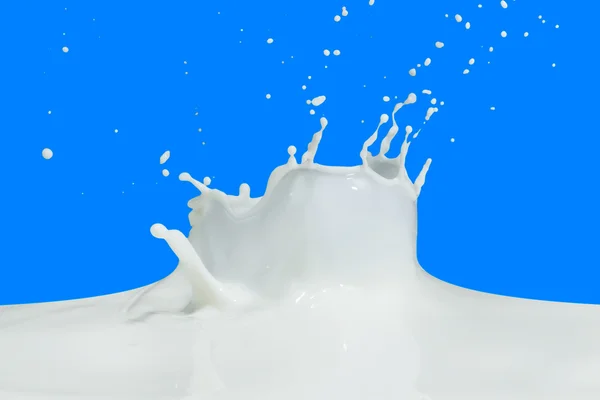 Salpicadura de leche — Foto de Stock