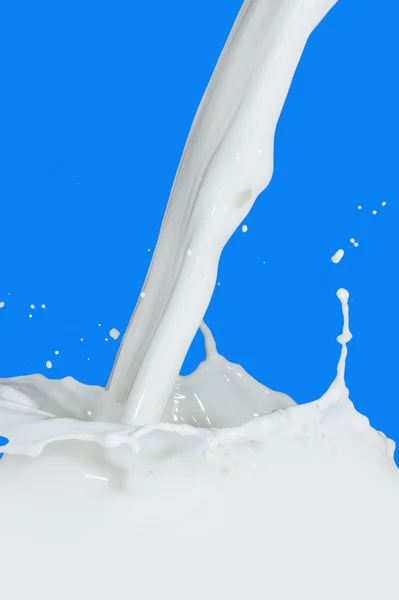 Salpicadura de leche — Foto de Stock