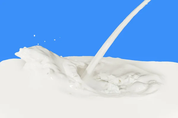 Milk splash — Stock Photo, Image