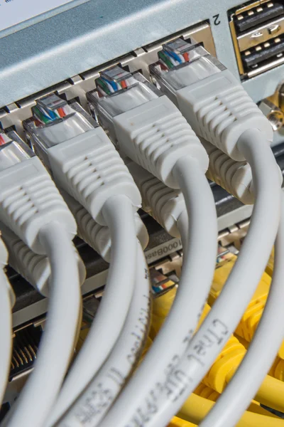 Network cables connected to switch — Stock Photo, Image