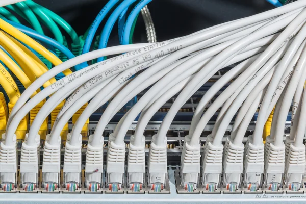 Network cables connected to switch — Stock Photo, Image