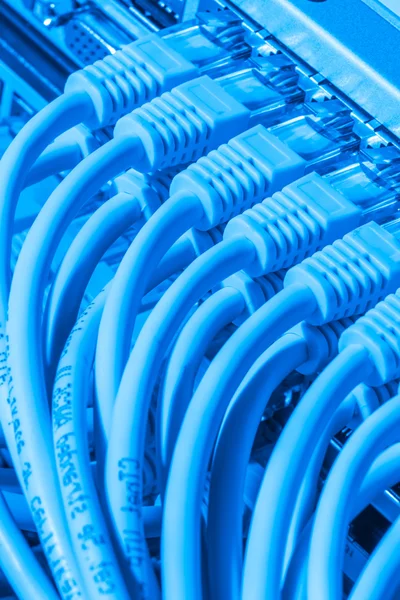 Network cables connected to switch — Stock Photo, Image