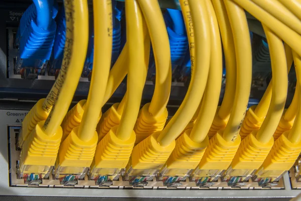 Network cables connected to switch — Stock Photo, Image