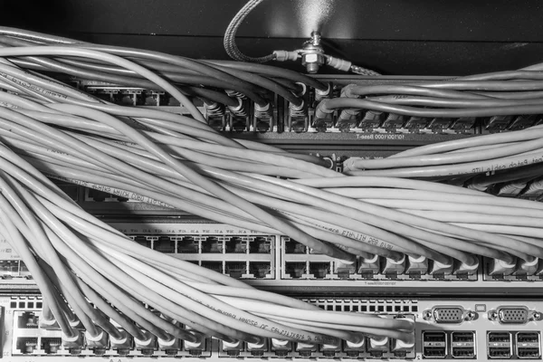 Network cables connected to switch — Stock Photo, Image