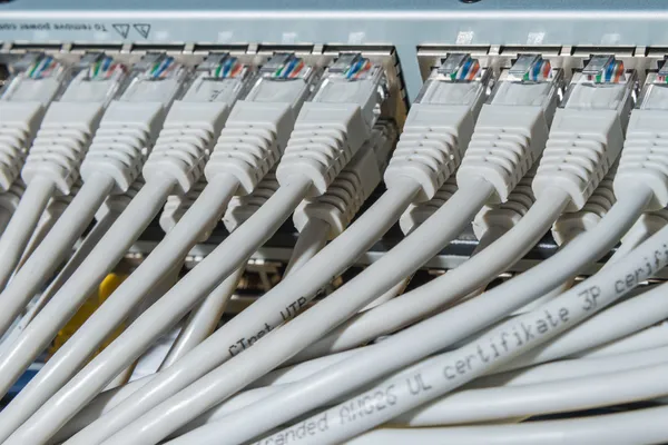 Network cables connected to switch — Stock Photo, Image