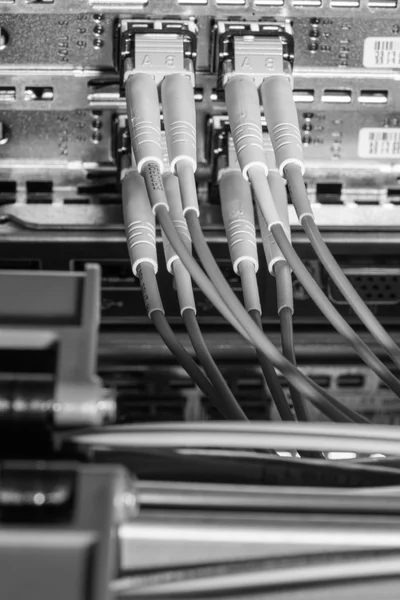 Câbles réseau connectés au commutateur — Photo