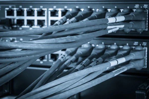 Núcleo de red y cables de conexión — Foto de Stock