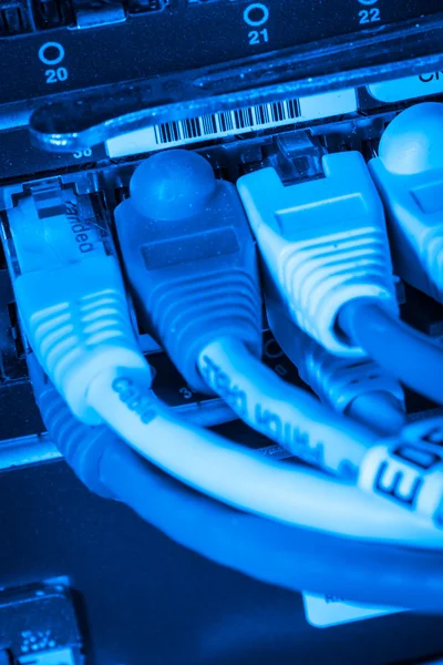 Hub de rețea și cabluri de patch-uri — Fotografie, imagine de stoc