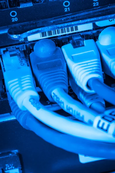 Netzwerk-Hub und Patchkabel — Stockfoto