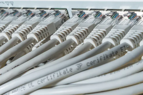 Сетевые кабели подключенные к коммутатору — стоковое фото