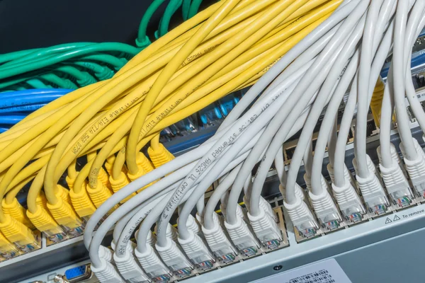 Câbles réseau connectés au commutateur — Photo