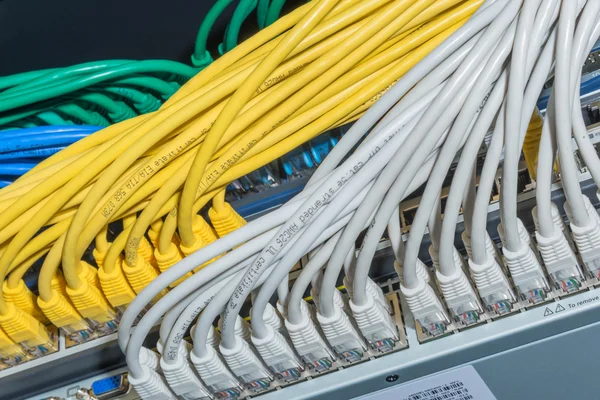 Network cables connected to switch — Stock Photo, Image