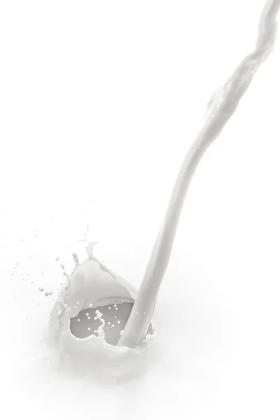 Milk splash — Stock Photo, Image