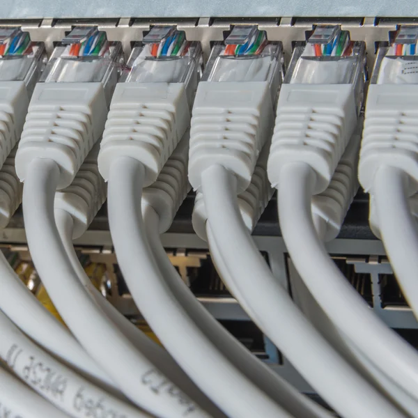 Network cables connected to switch — Stock Photo, Image