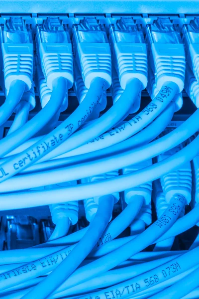 Kable sieciowe podłączone do przełącznika — Zdjęcie stockowe
