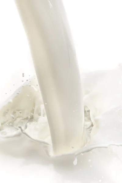 Milk splash — Stock Photo, Image