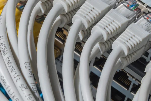 Network cables connected to switch — Stock Photo, Image