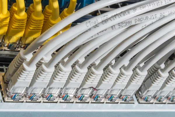 Network cables connected to switch — Stock Photo, Image