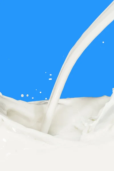 Milk splash — Stock Photo, Image