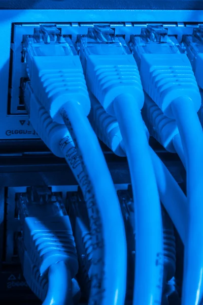 Cabos de rede conectados ao switch — Fotografia de Stock