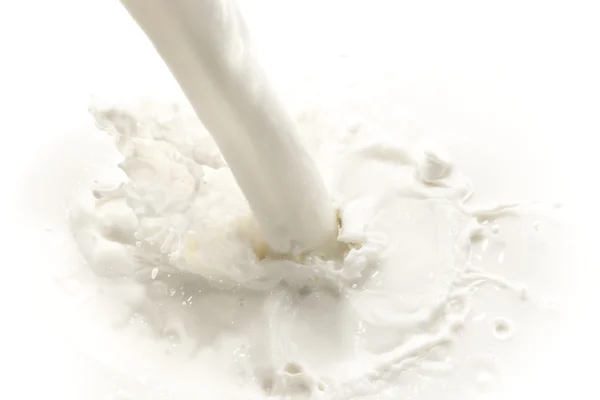 Milk splash — Stock Photo, Image