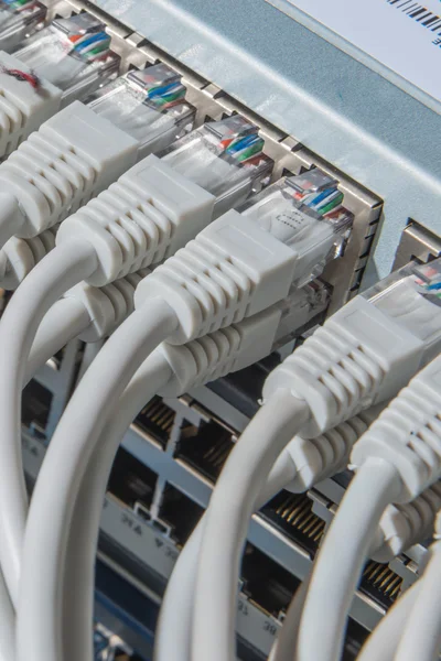 Network cables connected to switch — Stock Photo, Image